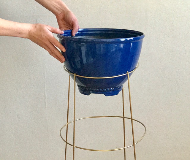 turn a tomato cage into a plant stand