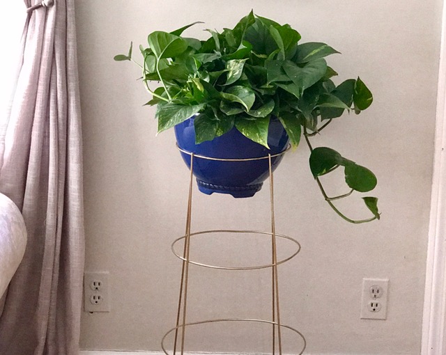 convierte una jaula de tomates en un soporte para plantas