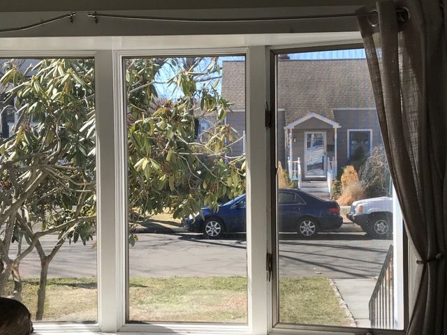 quick clean your window screens