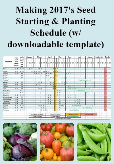 Make A Garden Seed Starting Planting Schedule Hometalk Make A Garden Seed Starting Planting Schedule Hometalk