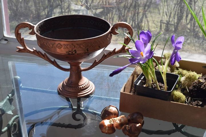 spring planter arrangement