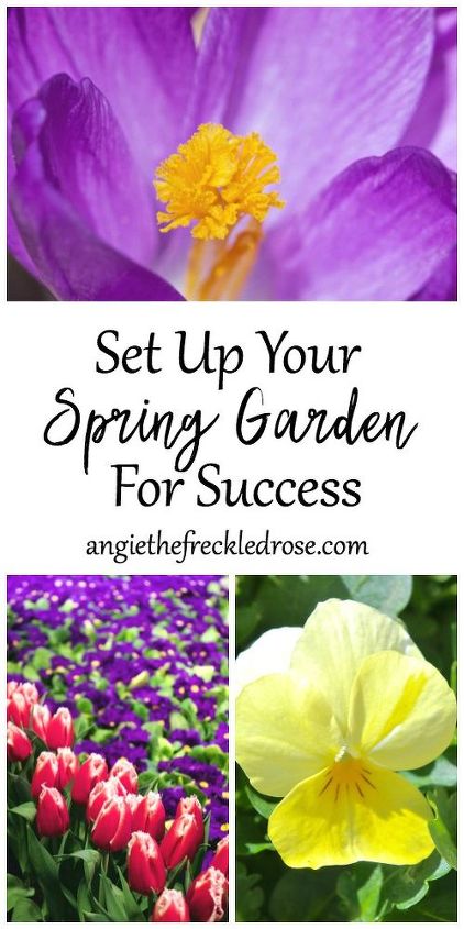 prepare seu jardim de primavera para o sucesso
