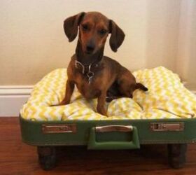 don t throw out your old suitcase before you see these 15 clever ideas, Turn it into a comfy bed for your pet