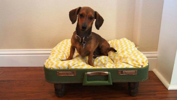 don t throw out your old suitcase before you see these 15 clever ideas, Turn it into a comfy bed for your pet