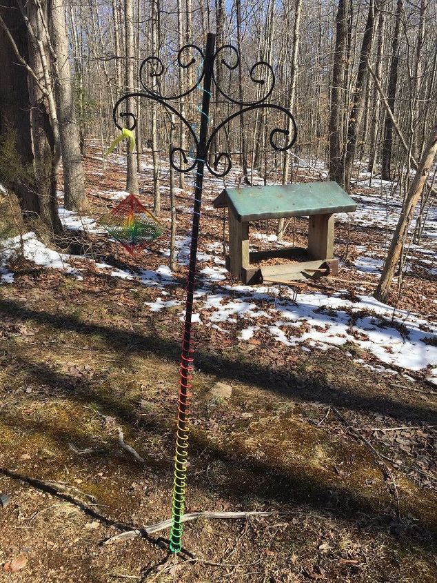 q hometalkers i need bird feeder and bird seed advice virginia area