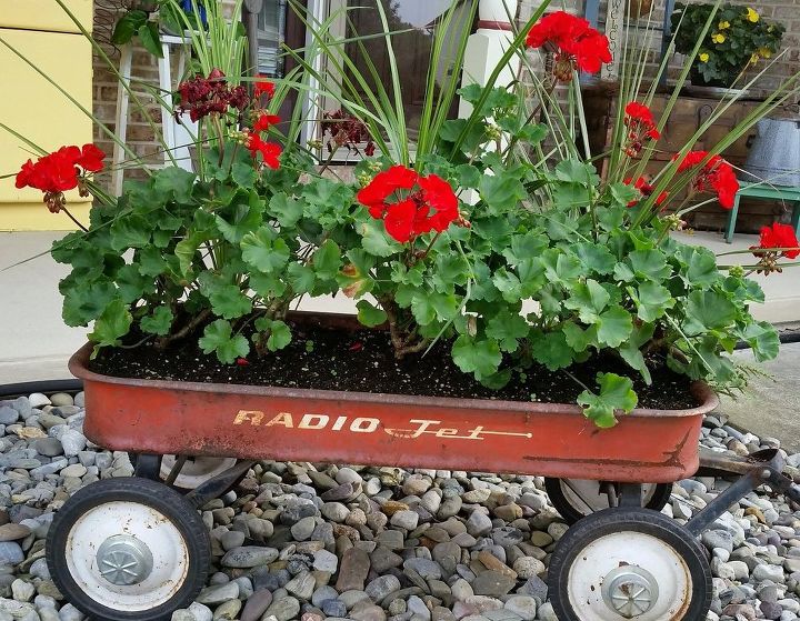 vintage wagon repurposed all over again, Only Geraniums the following year