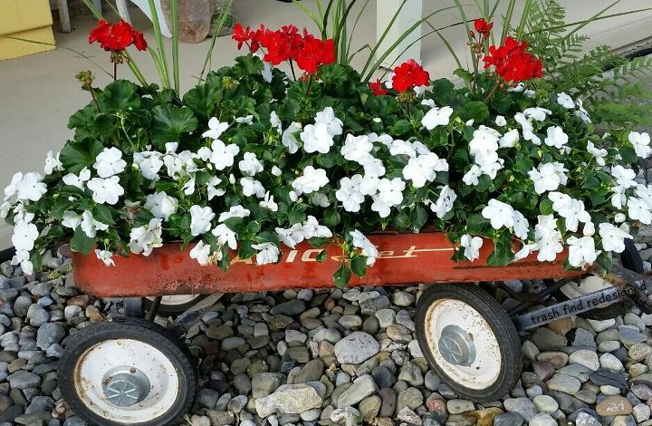 vintage wagon repurposed all over again, Full bloom with Geraniums Impatience