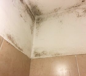 bad case of mold in the bathroom cleaned