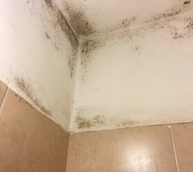 Bad Case Of Mold In The Bathroom CLEANED Hometalk   Q Bad Case Of Mold In The Bathroom Cleaned 