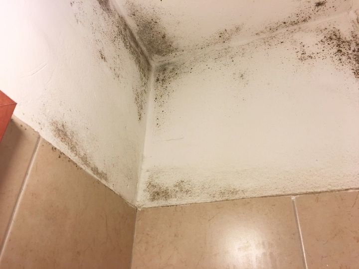 Bad Case Of Mold In The Bathroom Cleaned Hometalk