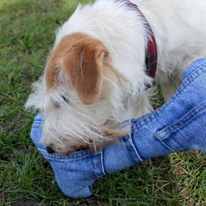 faa alguns brinquedos fofos para cachorros com seus jeans velhos