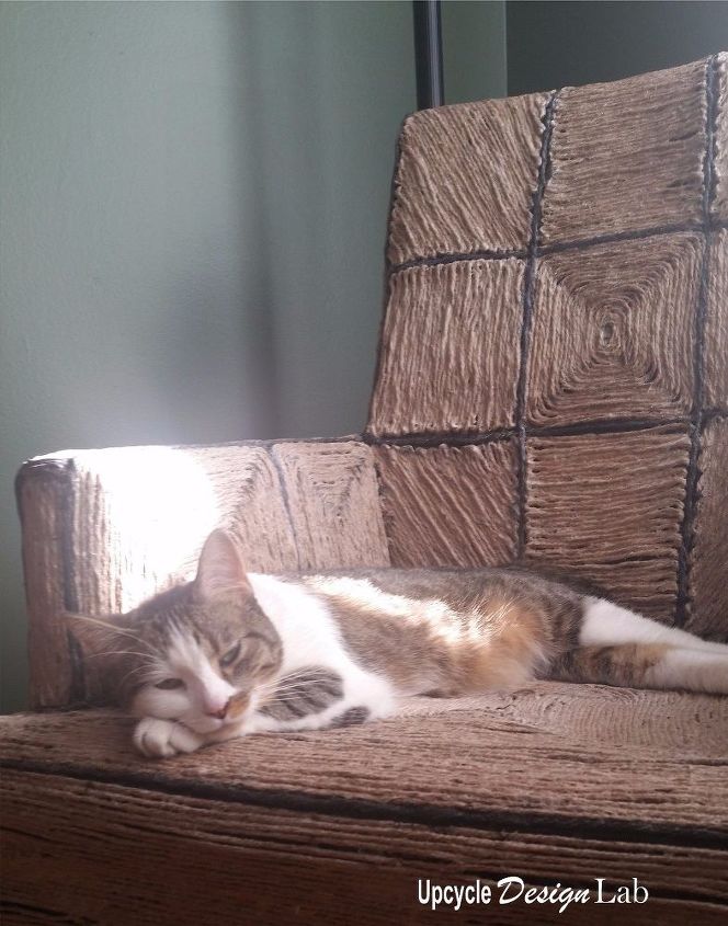 cat proof chair cover up chair repair with vinegar glue