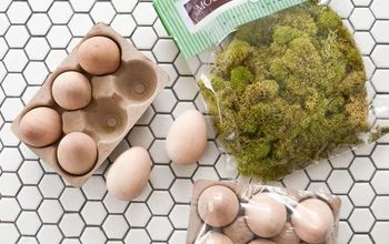 Deshazte de tus aburridos huevos de Pascua - ¡Haz huevos de primavera con musgo!