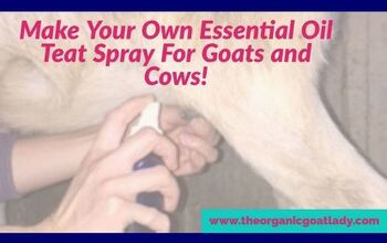  Faça seu próprio spray de óleo essencial para cabras e vacas!