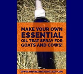 make your own essential oil teat spray for goats and cows