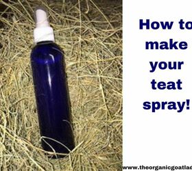 make your own essential oil teat spray for goats and cows
