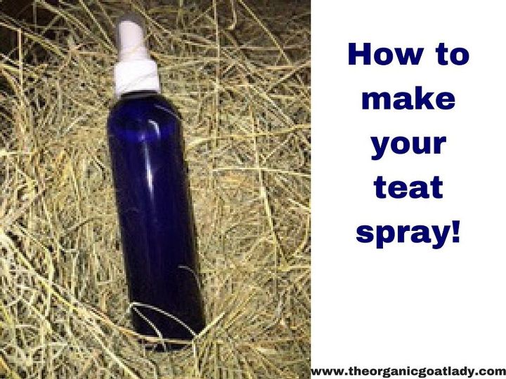 faa seu prprio spray de leo essencial para cabras e vacas