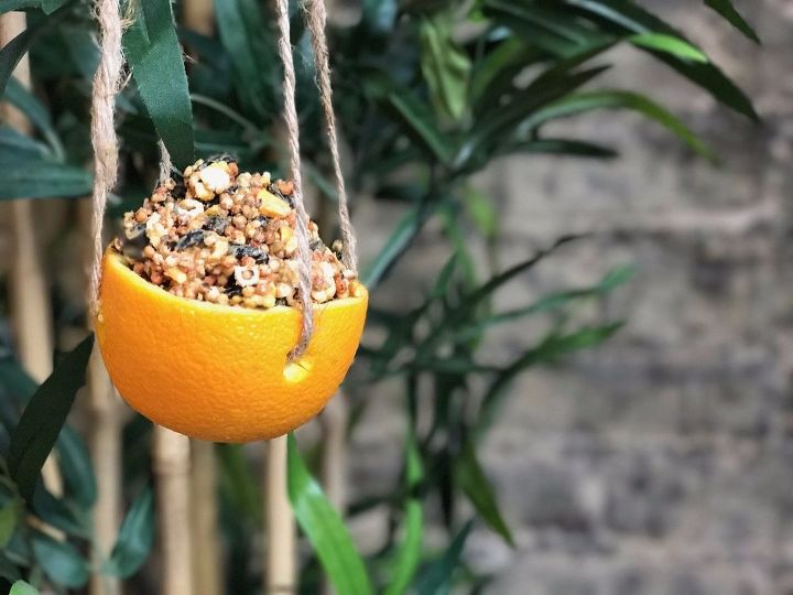 orange peel bird feeder