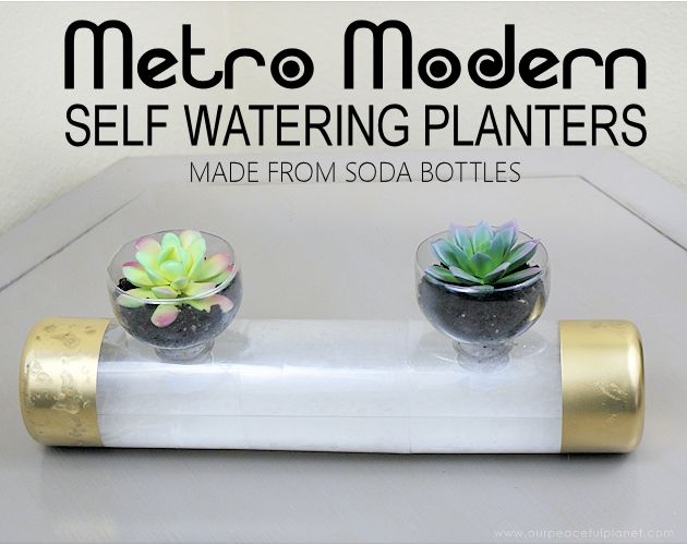 self watering planters from soda bottles