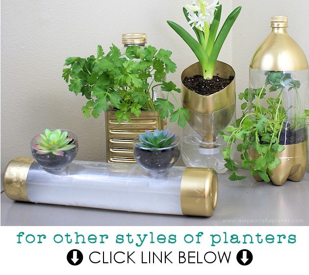 self watering planters from soda bottles