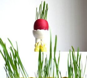 growing grass in eggshells simple easter diy