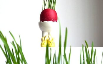 Growing Grass in Eggshells - Simple Easter DIY.
