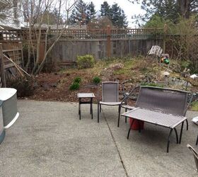 Is Lime Good For Dog Poop