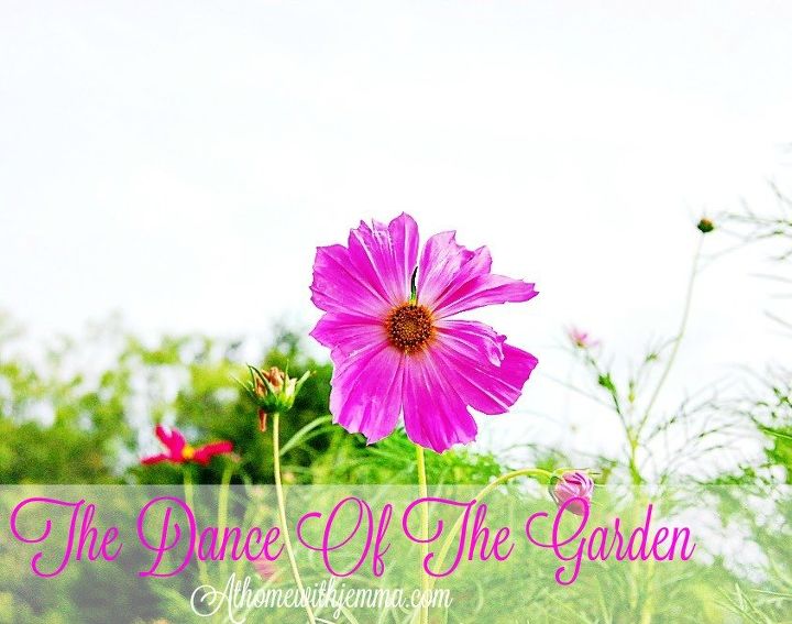 jardinera de primavera y consejos
