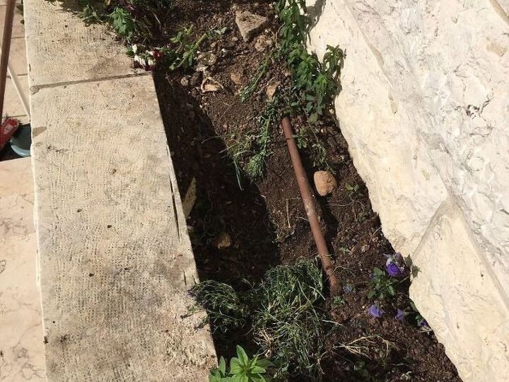 q how to keep a dog out of the flowerbed