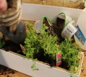 bring the garden indoors with this easy diy
