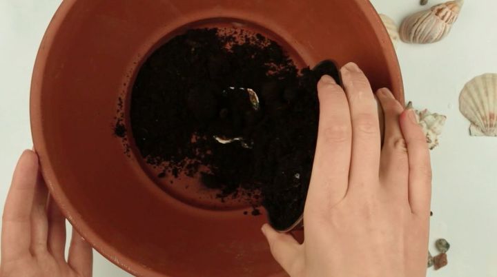 como fazer um jardim de suculentas em miniatura