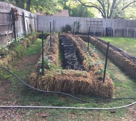 Straw Bale Gardening Hometalk