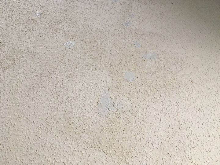 q ugly popcorn ceiling discolored with bald spots suggestions welcome, animals, appliance repair, appliances, architecture, basement ideas, bathroom ideas, bedroom ideas, bug extermination, bug repellent, chalk paint, chalkboard paint, christmas decorations, cleaning tips, closet, composting, concrete masonry, concrete countertops, concrete creations, concrete repair, container gardening, cosmetic changes, countertops, craft rooms, crafts, curb appeal, decks, decoupage, dining room ideas, diy, doors, earthworms, easter decorations, electrical, entertainment rec rooms, exterior home painting, fabric cleaning, fences, fireplace cleaning, fireplace makeovers, fireplaces mantels, fixing windows, flooring, flowers, foyer, furniture cleaning, furniture id, furniture refurbishing, furniture repair, garage doors, garages, gardening, gardening pests, gardening tools, go green, halloween decorations, hardwood floors, hibiscus, home decor, home decor cleaning, home decor dilemma, home decor id, home improvement, home maintenance repairs, home office, home security, homesteading, house cleaning, how to, hvac, hydrangea, indoor pests, interior home painting, kitchen backsplash, kitchen cabinets, kitchen design, kitchen island, landscape, large home improvement projects, laundry rooms, lawn care, lighting, living room ideas, major home repair, mantels, mason jars, minor home repair, organizing, outdoor furniture, outdoor living, outdoors cleaning, paint colors, painted furniture, painted furniture finishes, painting, painting cabinets, painting concrete, painting over finishes, painting upholstered furniture, painting wood furniture, pallet, patio, patriotic decor ideas, perennial, pest control, pet stain cleaning, pets, pets animals, plant care, plant id, plumbing, ponds water features, pool designs, porches, products, raised garden beds, real estate, removing paint from furniture, repurpose building materials, repurpose furniture, repurpose household items, repurpose unique pieces, repurpose windows, repurposing upcycling, reupholstoring, roofing, rustic furniture, seasonal holiday decor, shabby chic, shelving ideas, small bathroom ideas, small home improvement projects, spas, stairs, storage ideas, succulents, terrarium, thanksgiving decorations, tile flooring, tiling, tools, reupholster, urban living, valentines day ideas, wall decor, window treatments, windows, woodworking projects, wreaths
