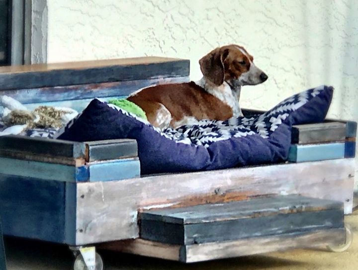 cama para el perro palets y chatarra, Ella estuvo de acuerdo