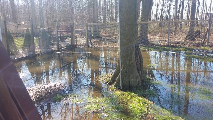 what can i do about standing water in my backyard