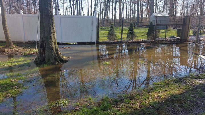 what can i do about standing water in my backyard