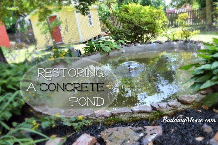 restoring a concrete pond with help from hometalk, animals, appliance repair, appliances, architecture, basement ideas, bathroom ideas, bedroom ideas, bug extermination, bug repellent, chalk paint, chalkboard paint, christmas decorations, cleaning tips, closet, composting, concrete masonry, concrete countertops, concrete creations, concrete repair, container gardening, cosmetic changes, countertops, craft rooms, crafts, curb appeal, decks, decoupage, dining room ideas, diy, doors, earthworms, easter decorations, electrical, entertainment rec rooms, exterior home painting, fabric cleaning, fences, fireplace cleaning, fireplace makeovers, fireplaces mantels, fixing windows, flooring, flowers, foyer, furniture cleaning, furniture id, furniture refurbishing, furniture repair, garage doors, garages, gardening, gardening pests, gardening tools, go green, halloween decorations, hardwood floors, hibiscus, home decor, home decor cleaning, home decor dilemma, home decor id, home improvement, home maintenance repairs, home office, home security, homesteading, house cleaning, how to, hvac, hydrangea, indoor pests, interior home painting, kitchen backsplash, kitchen cabinets, kitchen design, kitchen island, landscape, large home improvement projects, laundry rooms, lawn care, lighting, living room ideas, major home repair, mantels, mason jars, minor home repair, organizing, outdoor furniture, outdoor living, outdoors cleaning, paint colors, painted furniture, painted furniture finishes, painting, painting cabinets, painting concrete, painting over finishes, painting upholstered furniture, painting wood furniture, pallet, patio, patriotic decor ideas, perennial, pest control, pet stain cleaning, pets, pets animals, plant care, plant id, plumbing, ponds water features, pool designs, porches, products, raised garden beds, real estate, removing paint from furniture, repurpose building materials, repurpose furniture, repurpose household items, repurpose unique pieces, repurpose windows, repurposing upcycling, reupholstoring, roofing, rustic furniture, seasonal holiday decor, shabby chic, shelving ideas, small bathroom ideas, small home improvement projects, spas, stairs, storage ideas, succulents, terrarium, thanksgiving decorations, tile flooring, tiling, tools, reupholster, urban living, valentines day ideas, wall decor, window treatments, windows, woodworking projects, wreaths