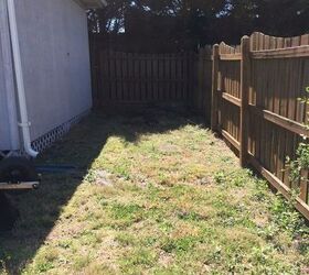 what would you do with a space between a shed and a fence