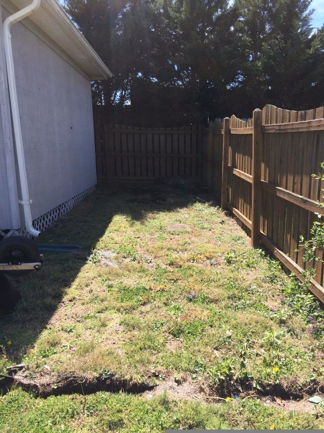 what would you do with a space between a shed and a fence