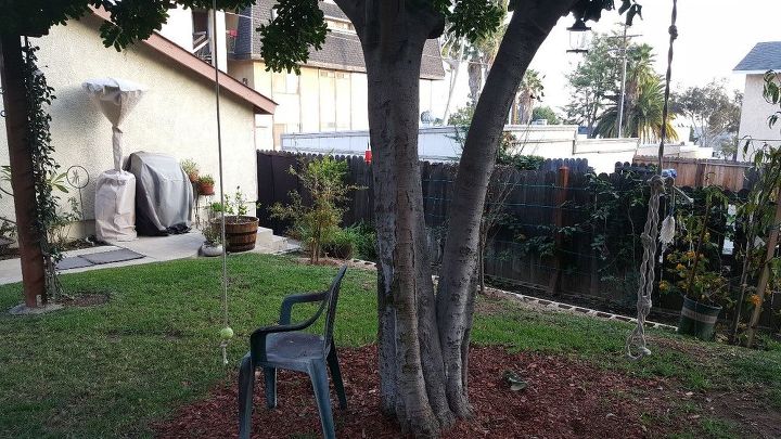 q backyard pond for red eared slider