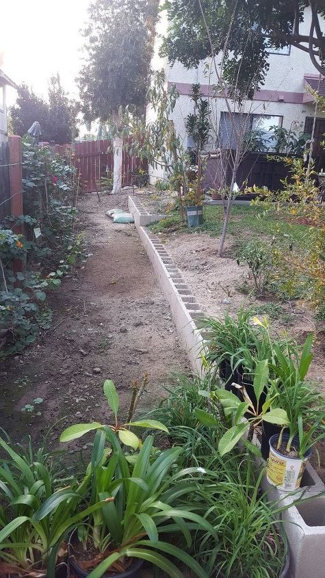 q backyard pond for red eared slider