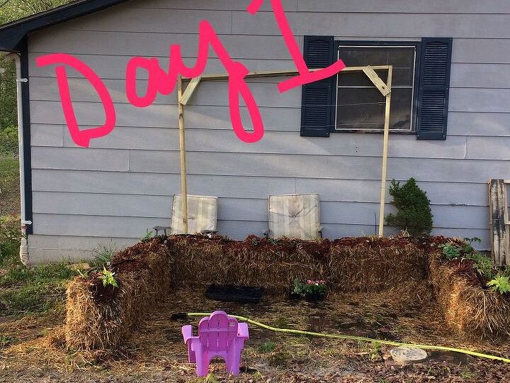 q does corn need a trellis