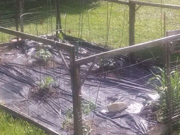 q what is the easiest least expensive way to make a raised garden bed