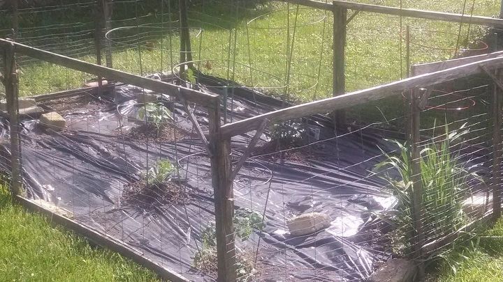 q what is the easiest least expensive way to make a raised garden bed