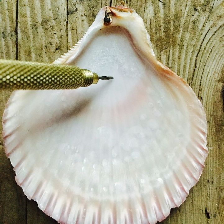 how to drill a hole in a sea shell