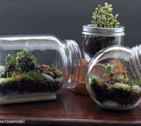 diy glass jar terrariums