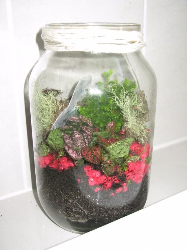 terrarium from old glass jars and vases