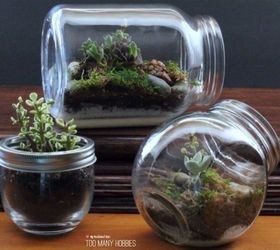 diy glass jar terrariums
