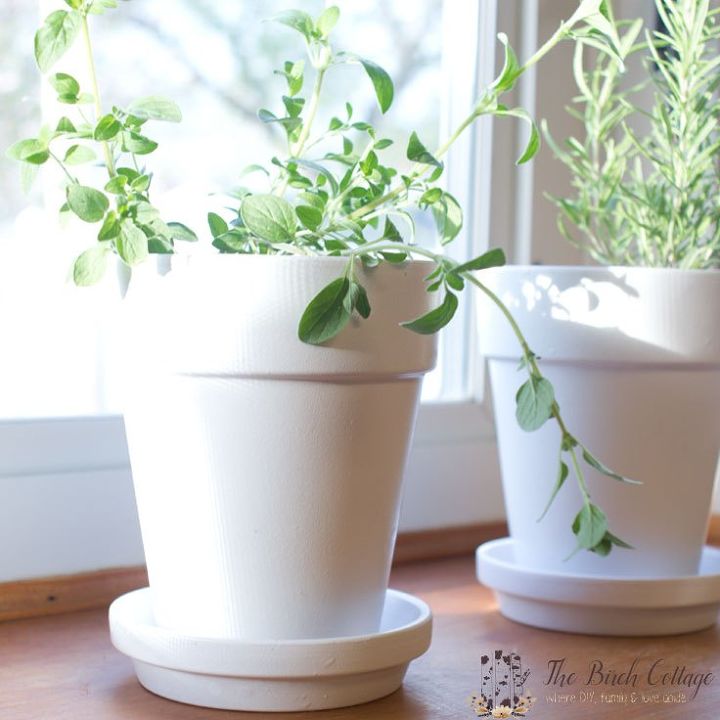 q how to grow herbs successfully indoors