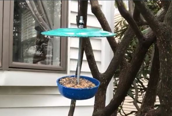 fun bird feeder from dishware